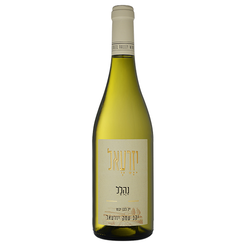 עמק-יזרעאל-נהלל-לבן